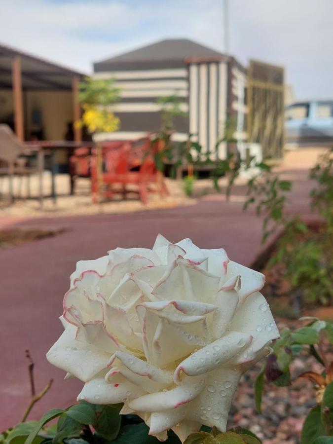 Wadi Rum Oryx Hostel & Tours Luaran gambar