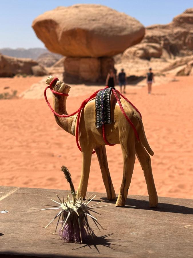 Wadi Rum Oryx Hostel & Tours Luaran gambar